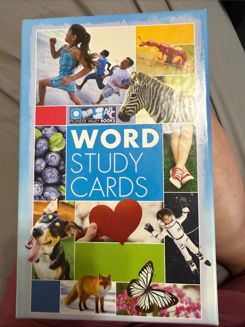 WORD Study Cards - Colorful Educational Flashcards